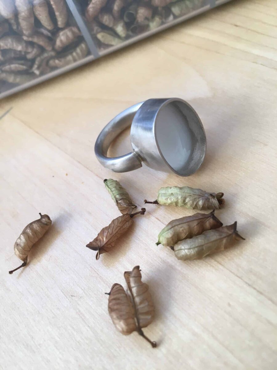 Rohling für einen Ring mit Pflanzenresten, die die Oberseite gestalten sollen