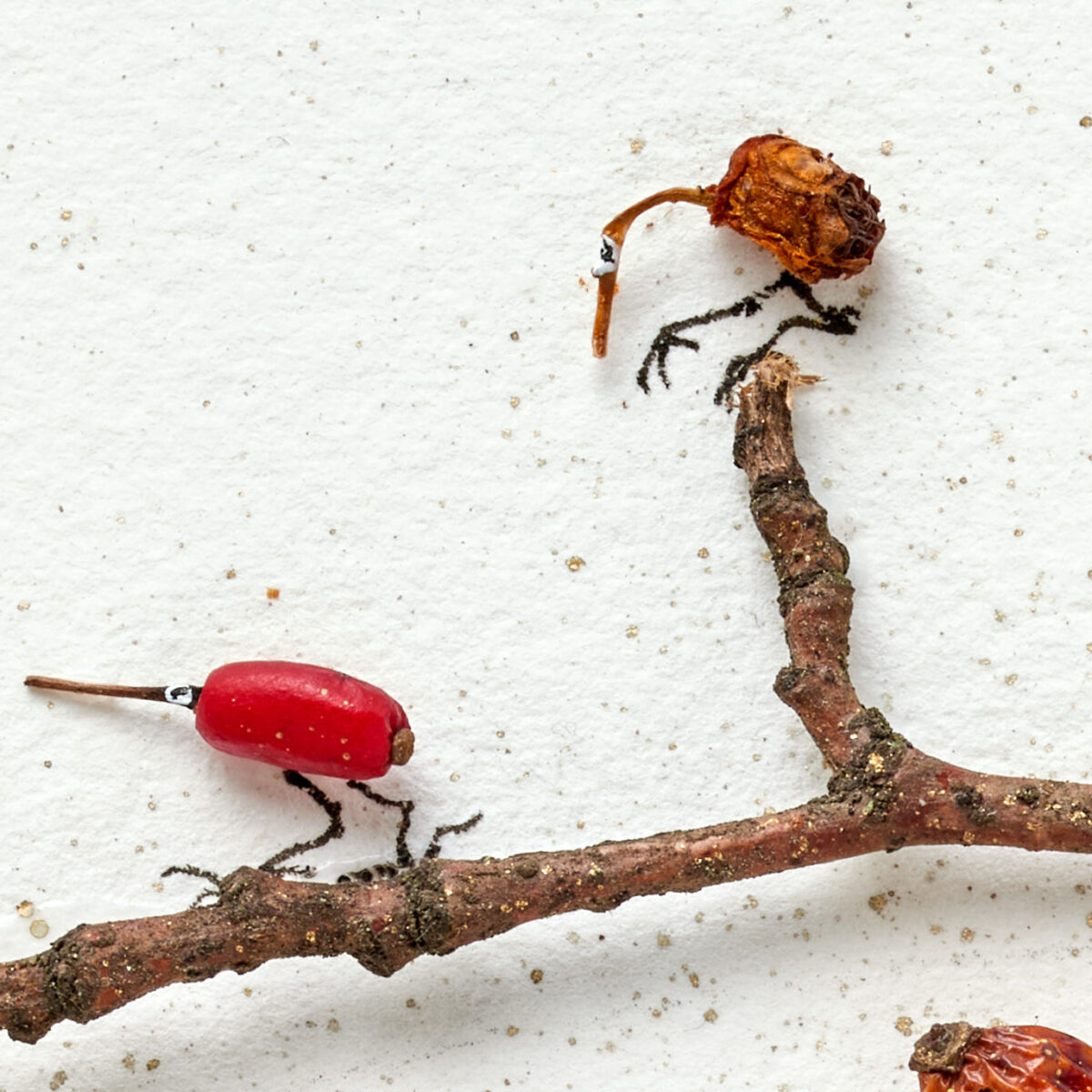 Detail from collage - two bird creatures are created from dried berries using line drawings