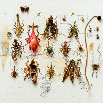 Collage - kein Insekt Werk Nr. 24 2020