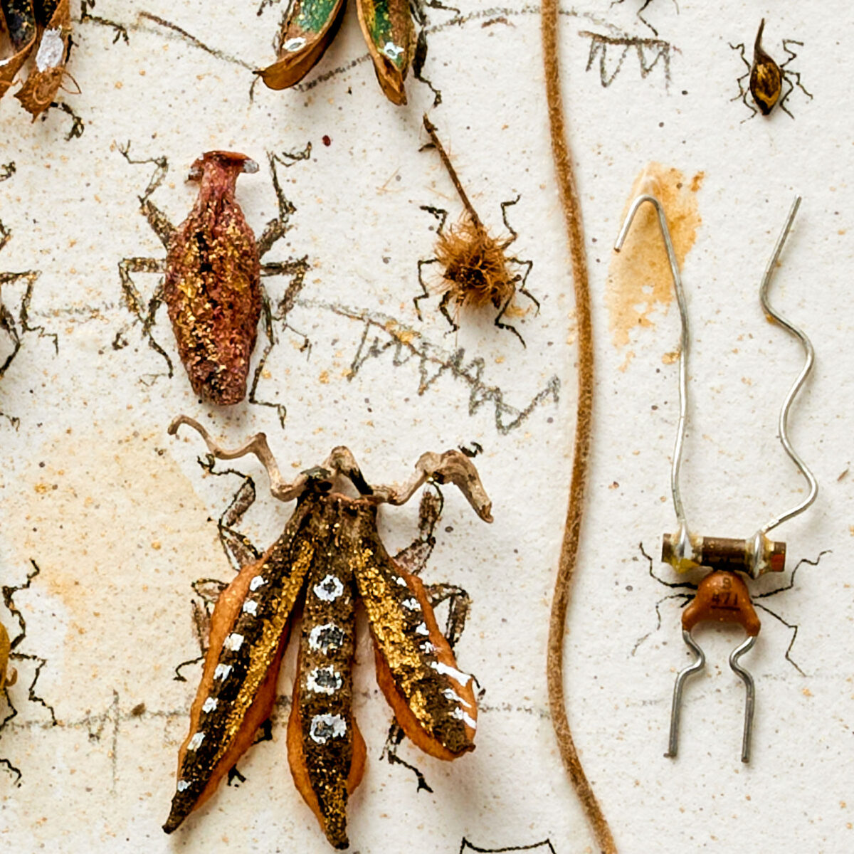 Ausschnitt aus einer Collage mit Insekten aus Elektronikteilen und Pflanzenresten von Magdalena Hohlweg