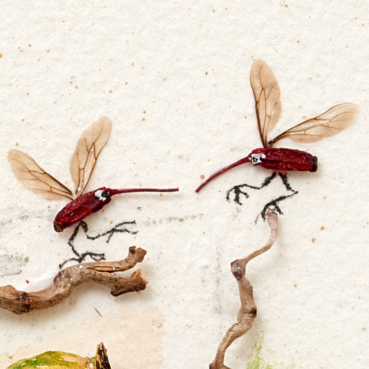 Collage detail. Barberry fruits and insect wings have become birds
