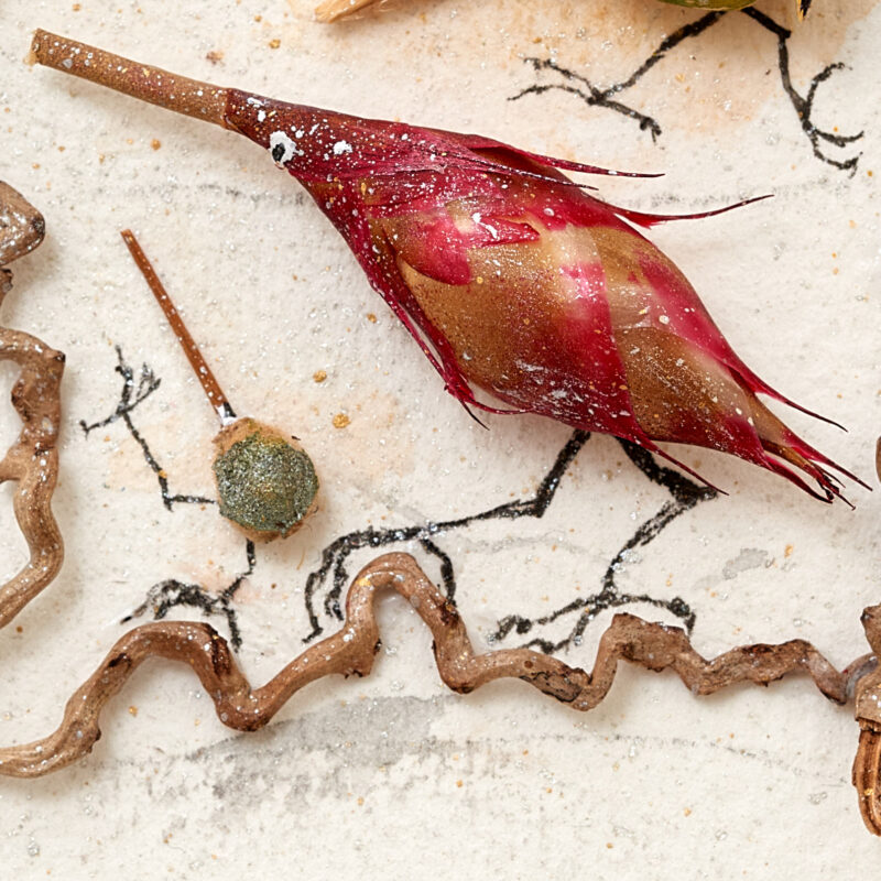 Detail from a collage of found objects. A bird species has emerged from a plant remnant