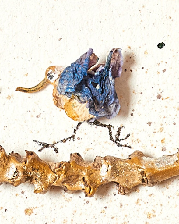 Collage by Magdalena Hohlweg with a fragment of a delphinium flower reinterpreted as a hopping bird.