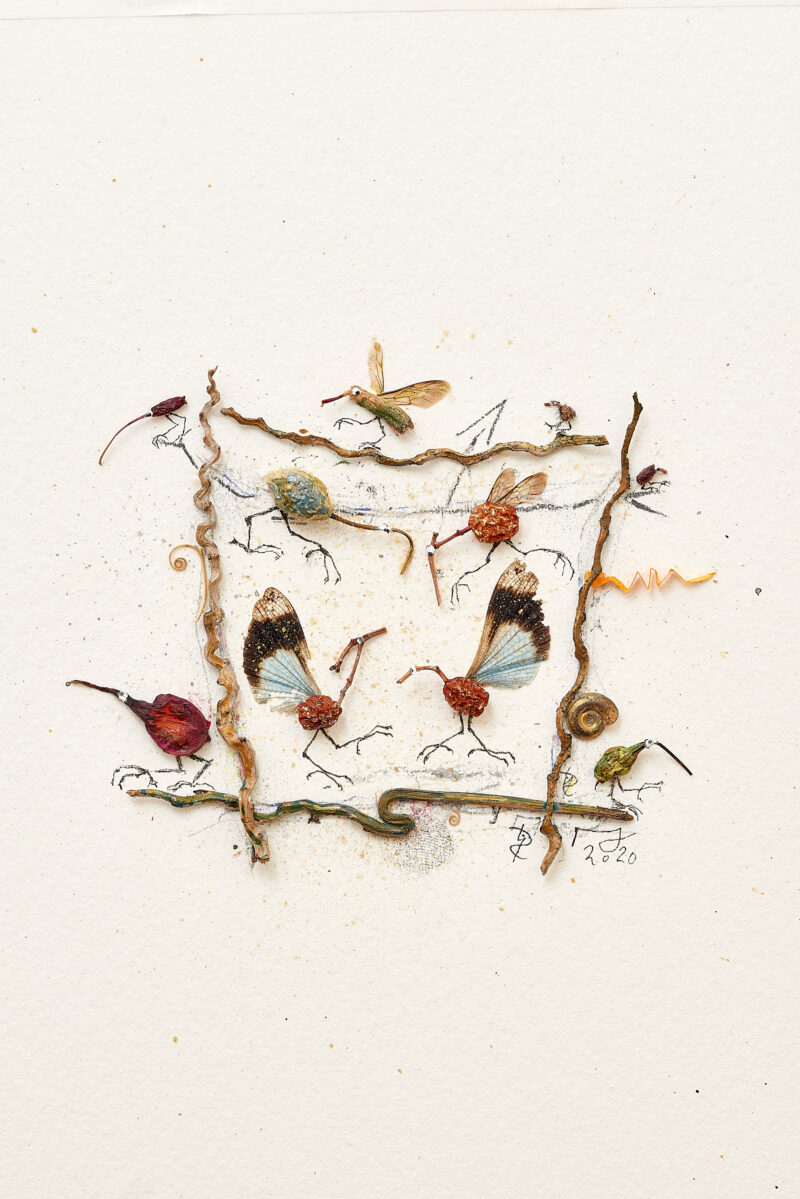 Collage of plant finds with seed capsules and insect wings that form bird-like shapes