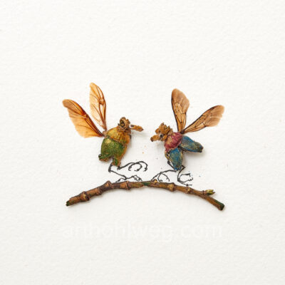 Collage - A pair of witch hazel siskins