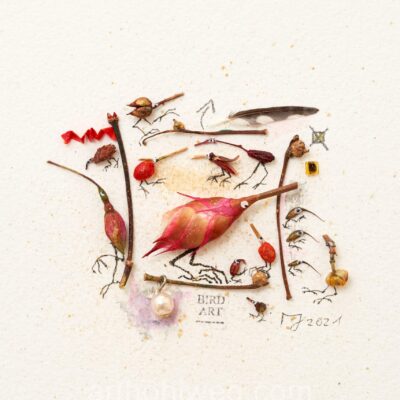 The red-headed woodpecker and other rarities