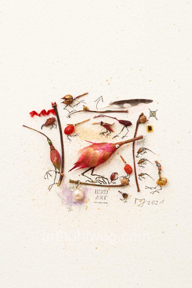 Der Rotspecht und weitere Raritaeten