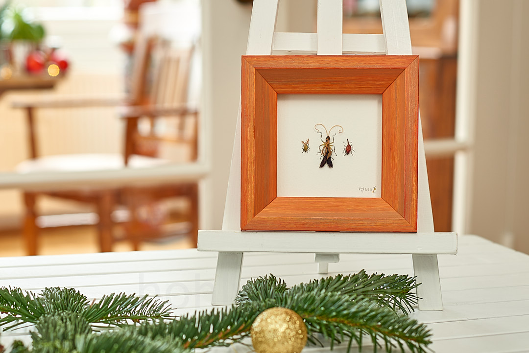 To fly or not to fly... - Image 2