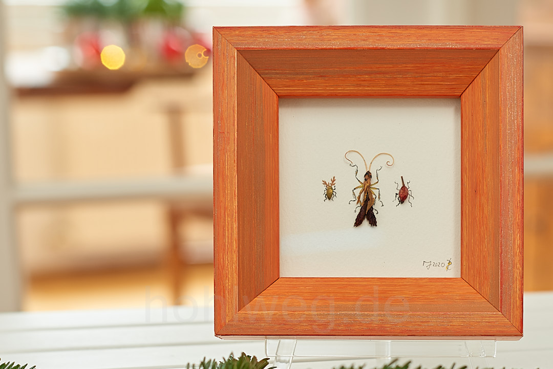 To fly or not to fly... - Image 3