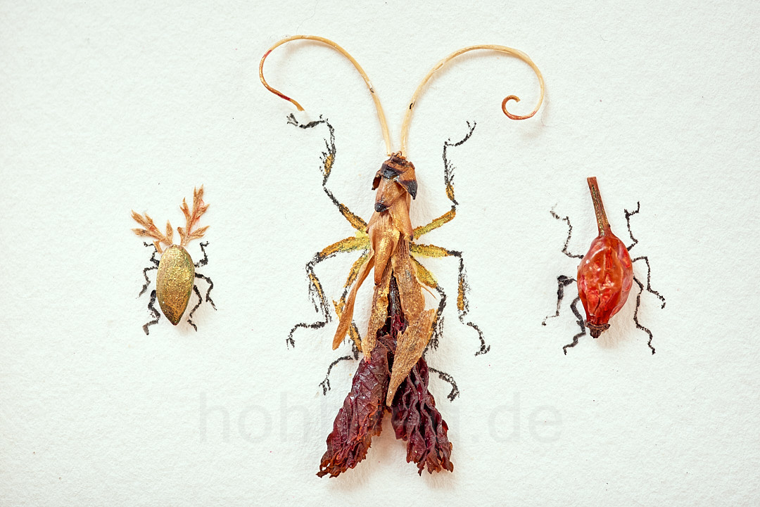 To fly or not to fly... - Image 4