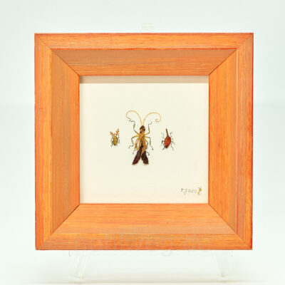 To fly or not to fly...