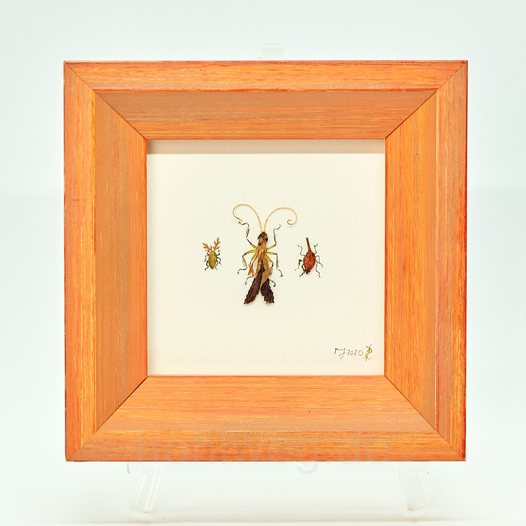 To fly or not to fly...