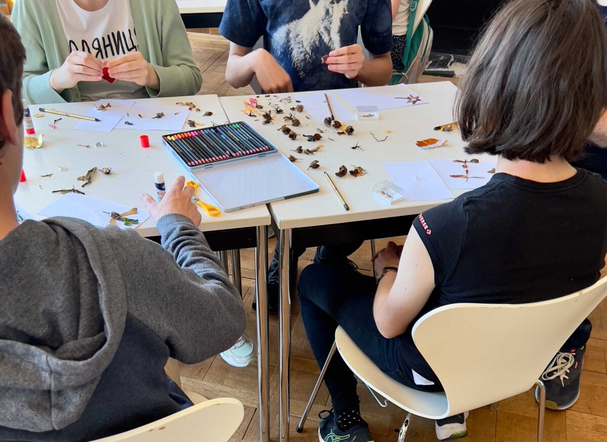 Schulprojekt: Insekten - und Vogelarten aus kleinsten Fundstücken