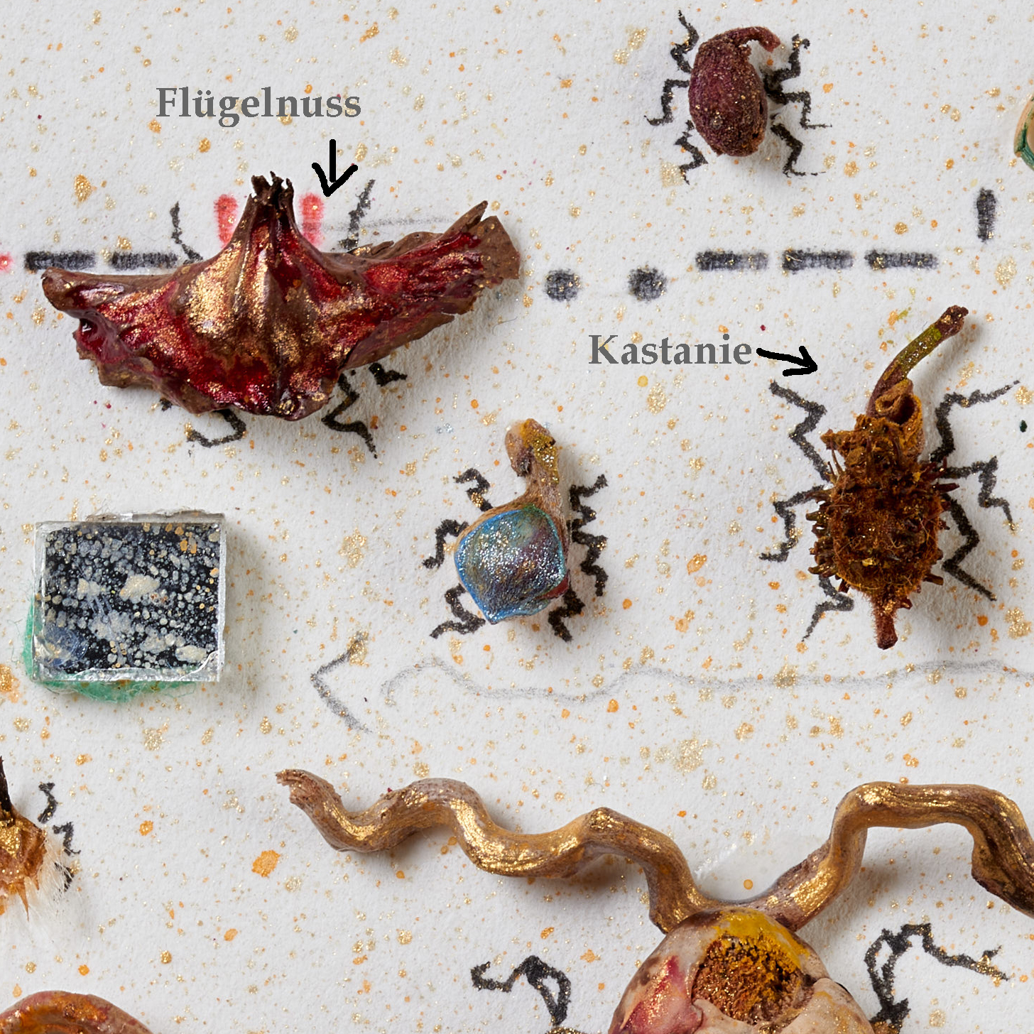 Ausschnitt einer Collage, bei der eine Flügelnuss und eine kleine Kastanie zu Insektenarten umgedeutet sind