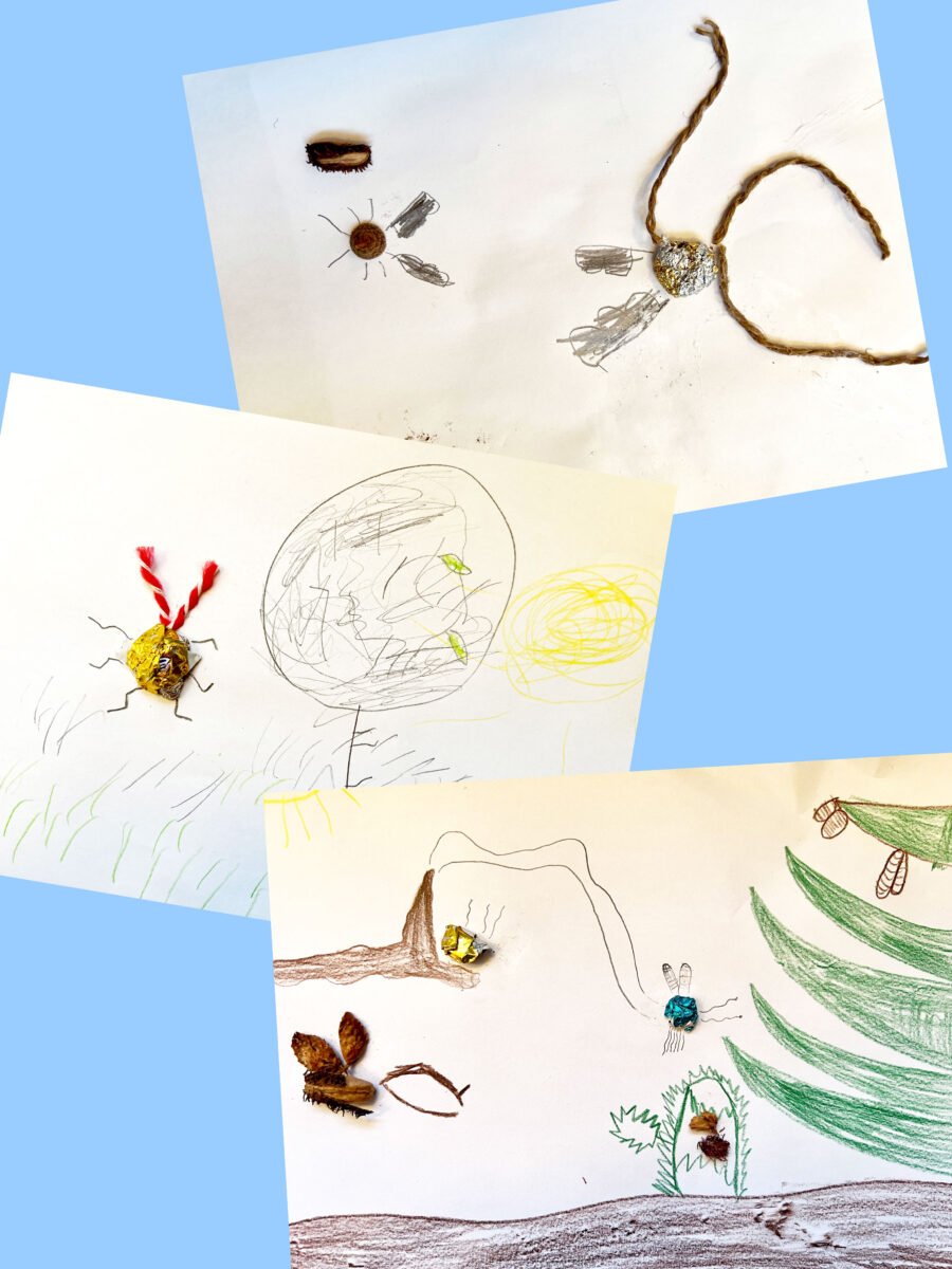 Schulprojekt mit Fundstücken: Insekten und Vogelarten entstehen