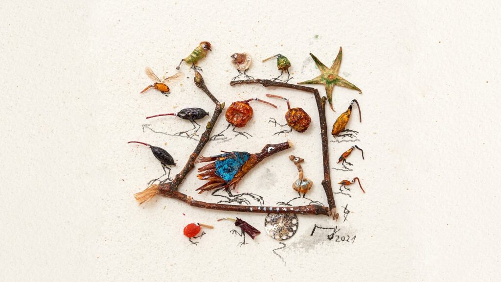 Bunte Vogelwelt