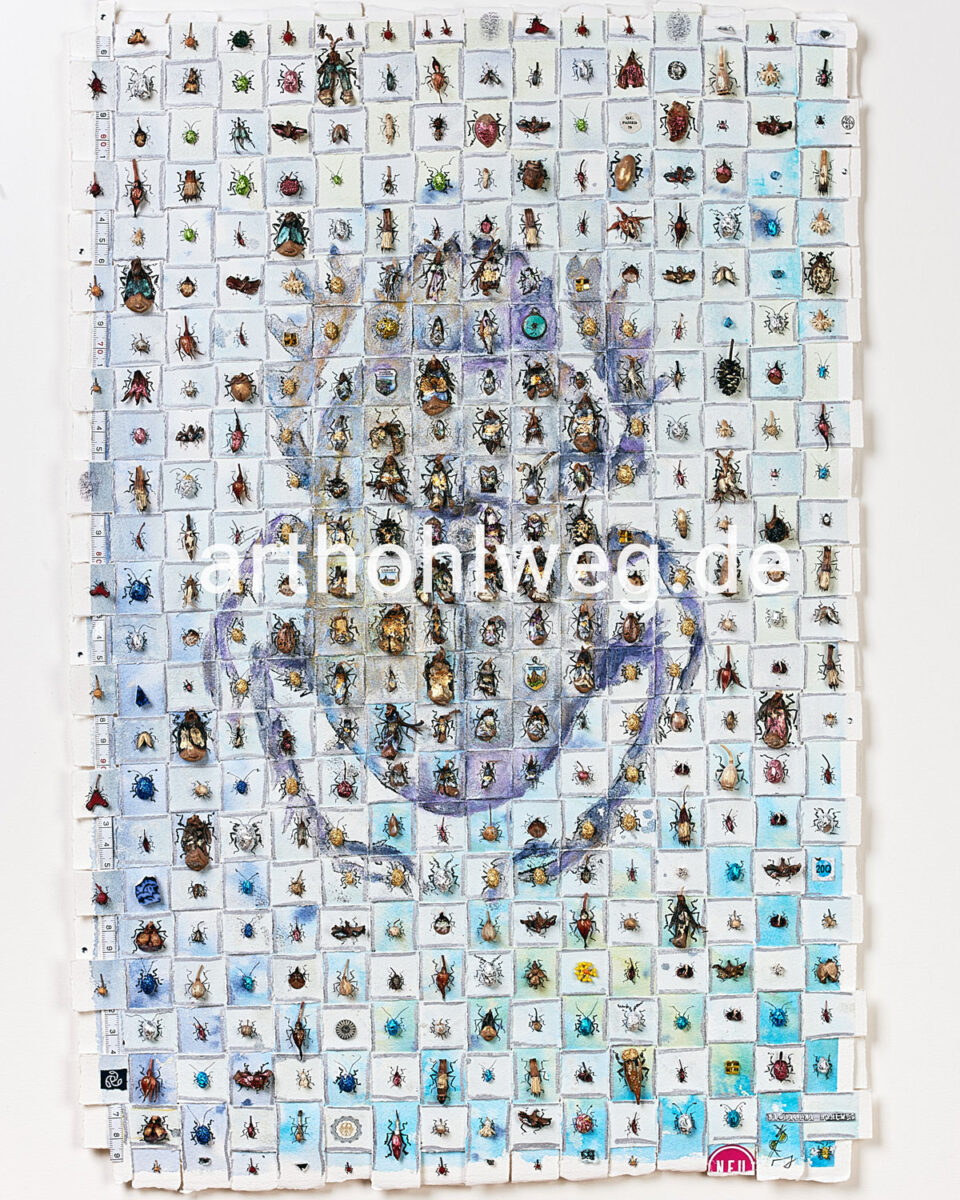 Collage Scarabaeus