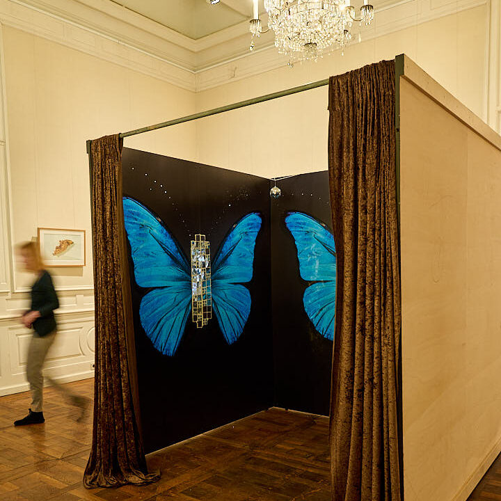 To the room installation Metamorphosis