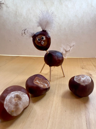 Chestnut animal