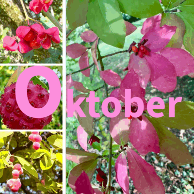 Pink in October