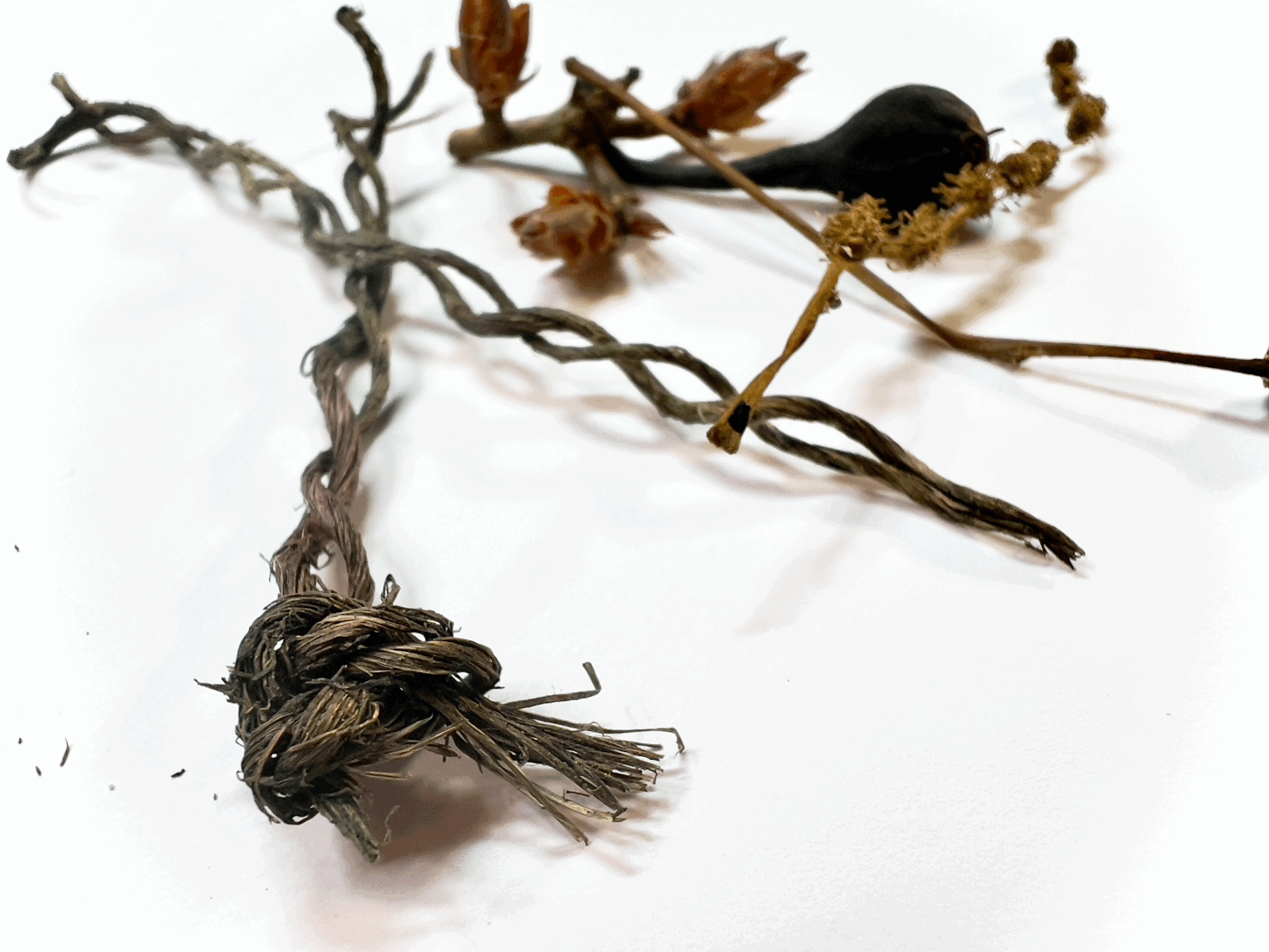 Small finds for a new vibrant scene