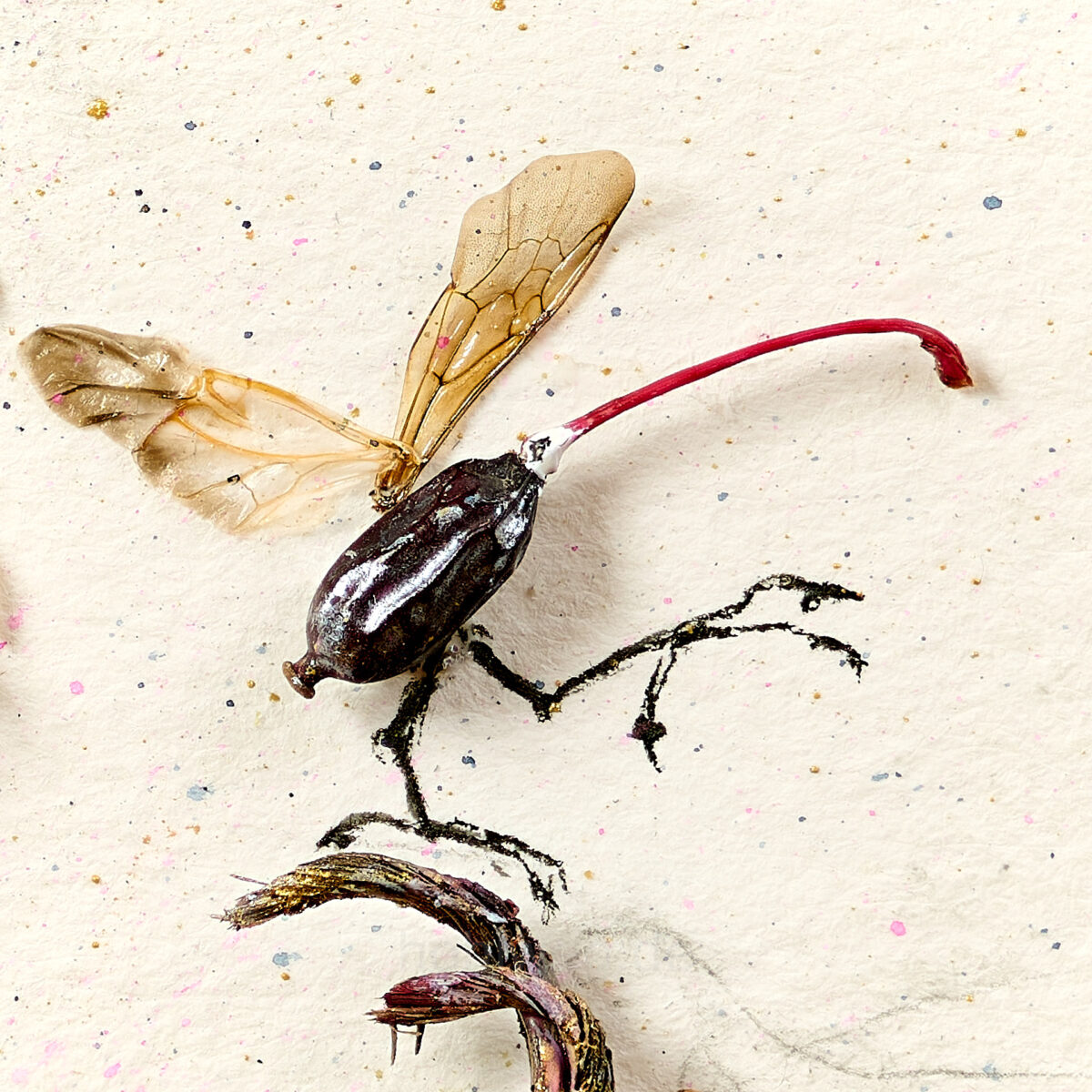 Ausschnitt aus einer Collage - Die Frucht einer Berberitze ist mit Fliegenflügeln ergänzt in einen Vogel umgedeutet.