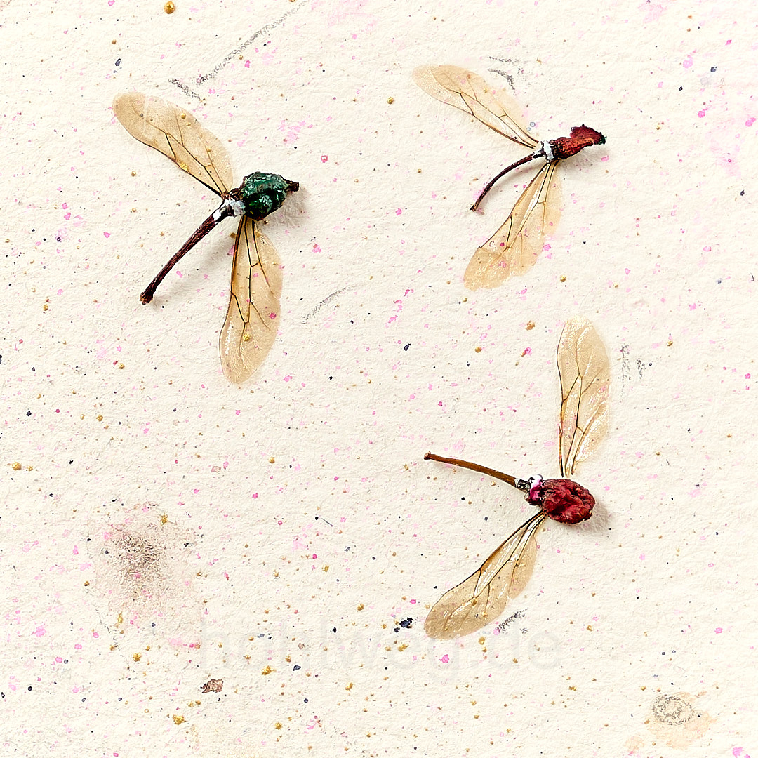 Collage mit fliegenden Vögeln aus Knospen und Insektenfllügeln