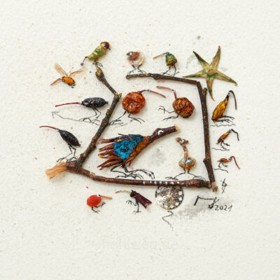Miniaturcollage mit Pflanzenresten, aus denen eine Vogelwelt entsteht von Magdalena Hohlweg
