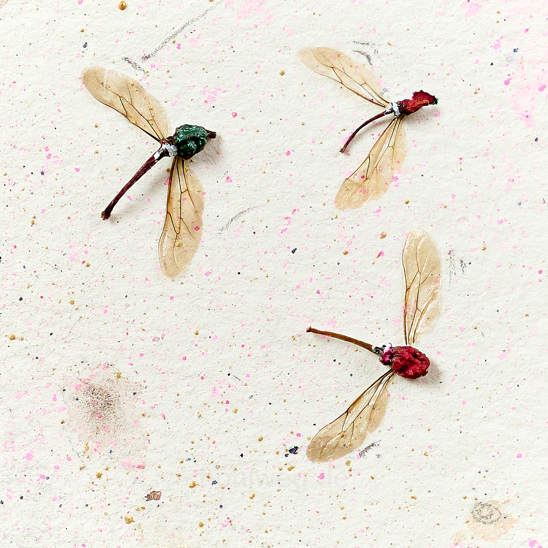 Collage detail with flying birds made from buds and insect wings