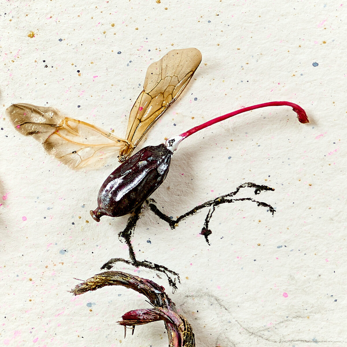 Fantasy bird made from barberry fruit, fly wings and scribbly legs