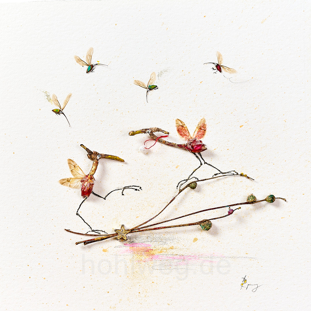 Collage by Magdalena Hohlweg with a pair of birds made from plant remains - miniature art made from found natural materials.