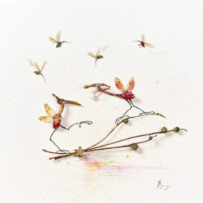 Unique collage of found objects and plant remains