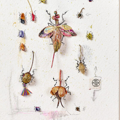 Collage of found objects such as chocolate paper and plant remains arranged as a collection of insects.