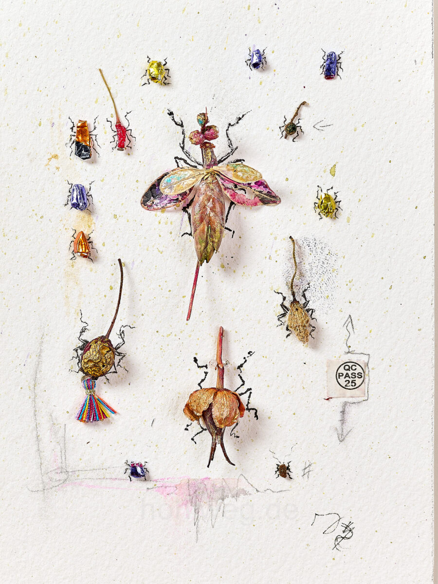 Collage of found objects such as chocolate paper and plant remains arranged as a collection of insects.