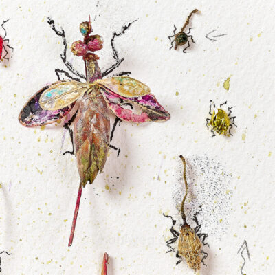 Cut-out insect art made from plant remains and everyday fragments - miniature assemblage in the style of a nature cabinet