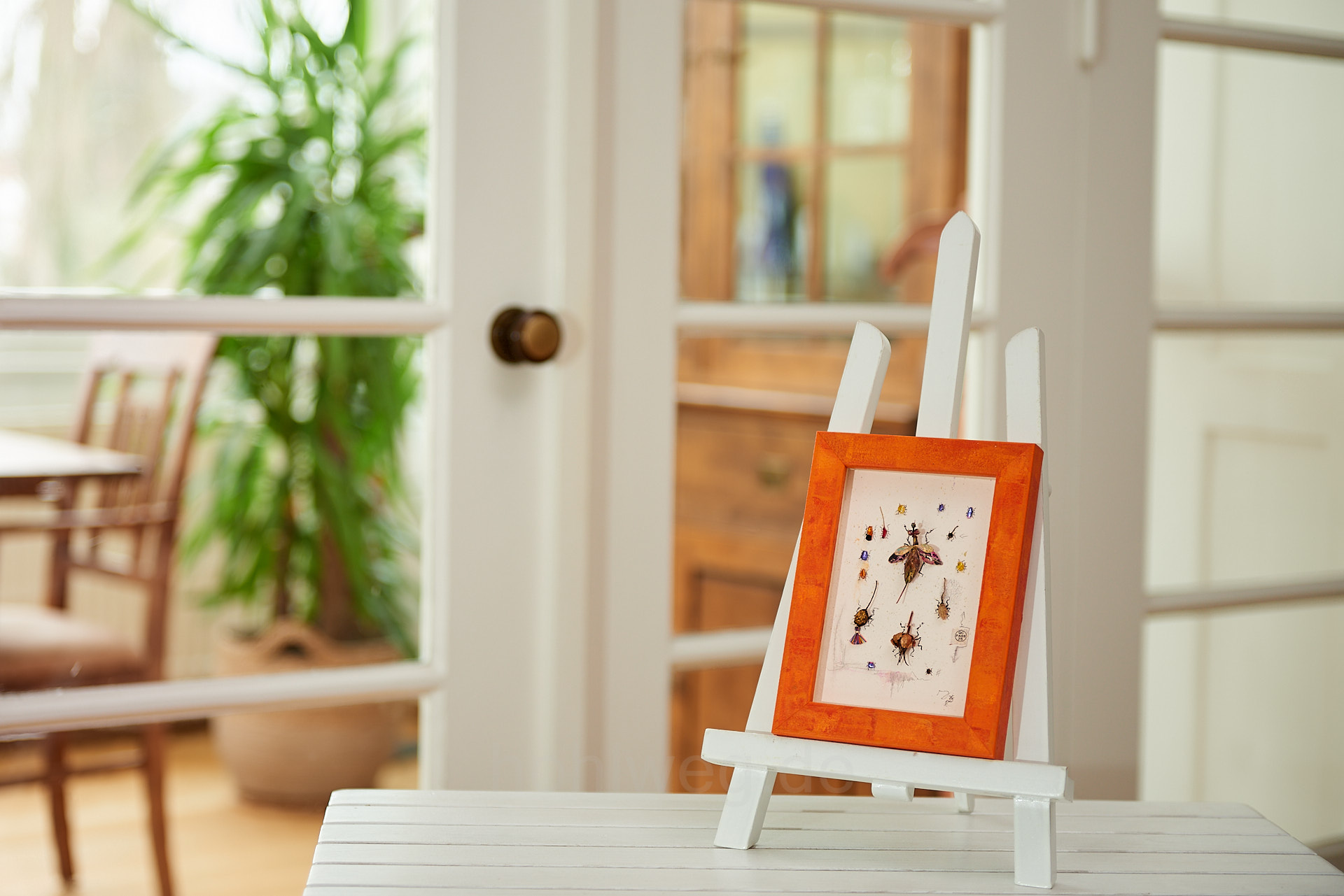 Artistic collage of found objects such as candy wrappers, plant remains and fragments of jewelry, arranged like a collection of insects and presented framed on an easel in the room.