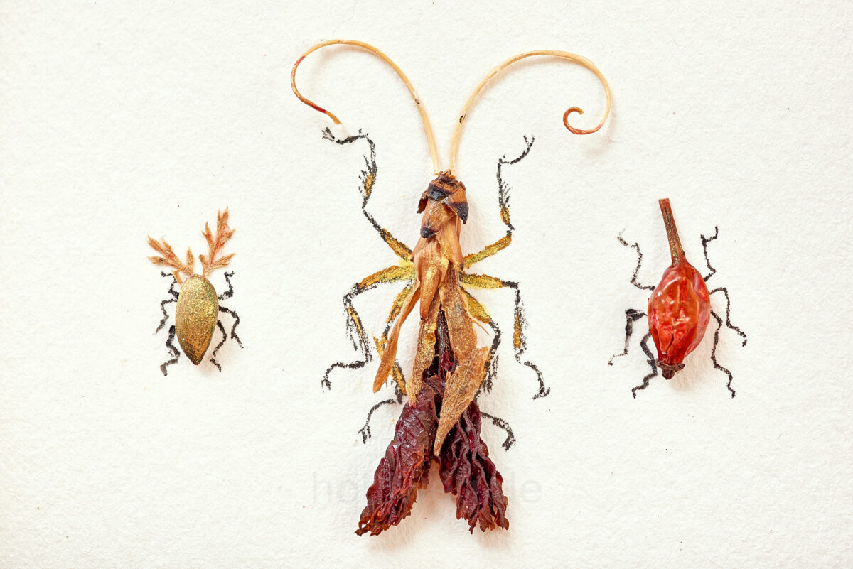Three insect-like figures made of plant debris with drawn legs on a light-colored background.