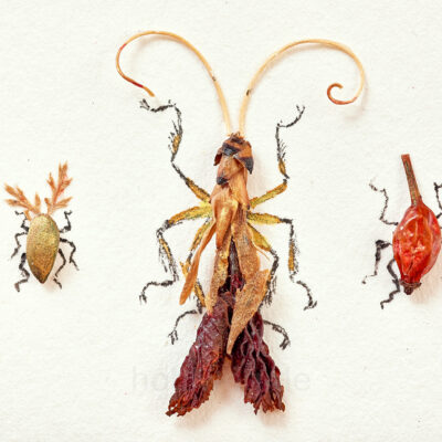 Nahaufnahme einer Collage von drei Insekten, die aus Pflanzenresten bestehen