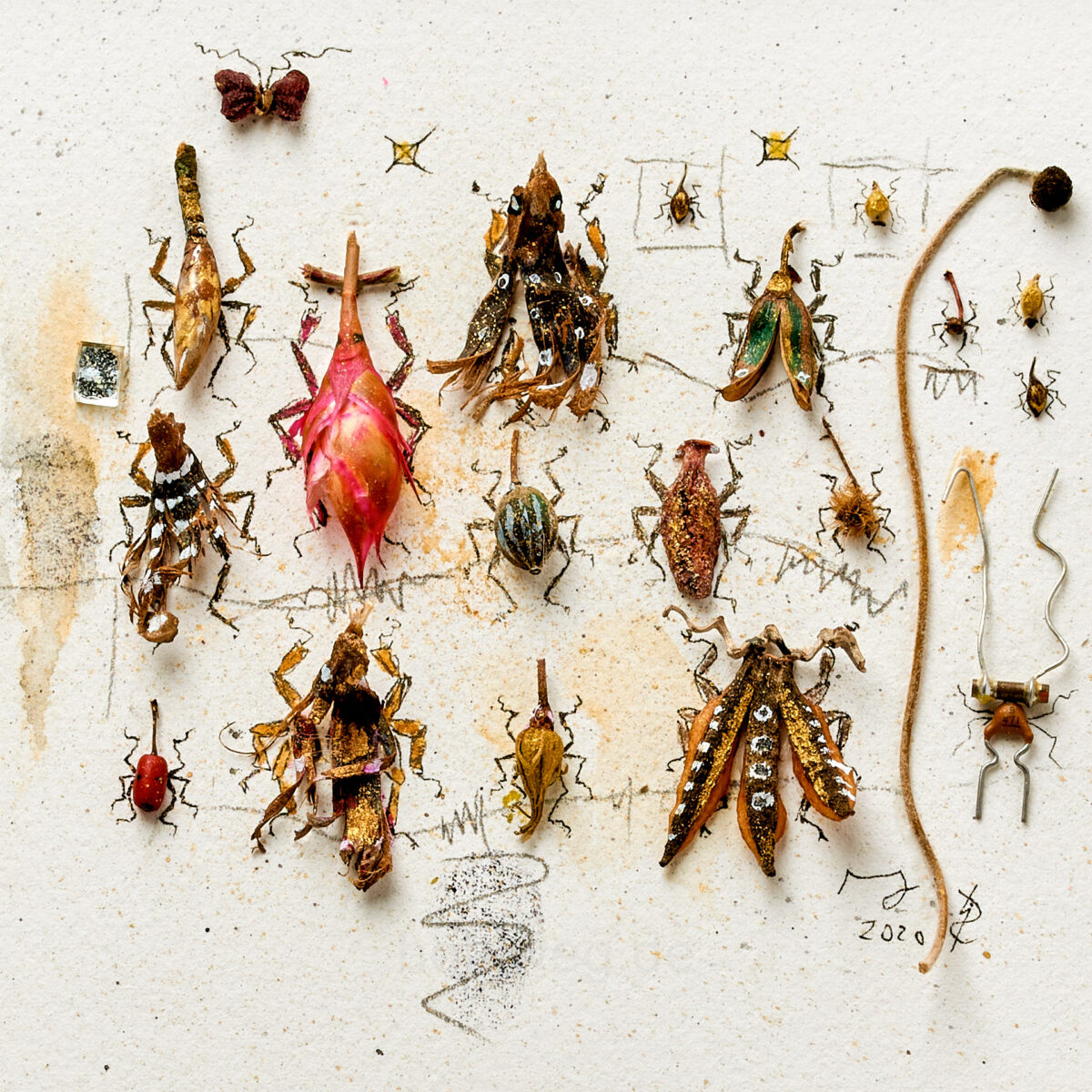 Overall view of the collage “(NOT) A Collection of Insects,” featuring numerous insect figures made from plant remains, found objects, and an electronic component.