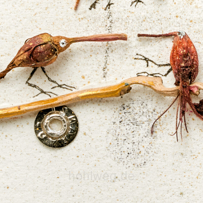 Detail from the collage “Birds Unlimited,” featuring various bird-like figures made from plant scraps, found objects, and drawings.