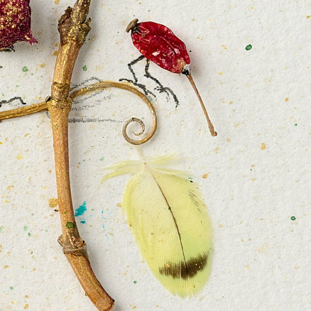Detail of an assemblage with bird feathers and plant remains by Magdalena Hohlweg