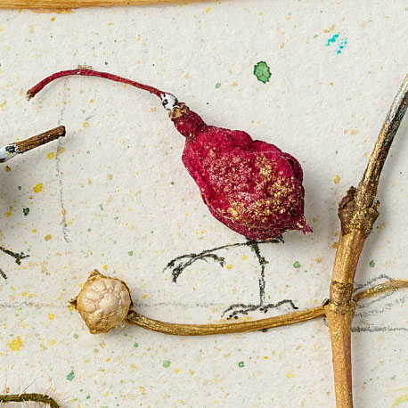 Detail from an assemblage by Magdalena Hohweg depicting a fuchsia flower as a bird