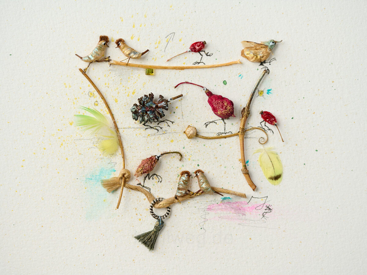 Collage of plant remains and found objects depicting a bird habitat with a frame of grasses