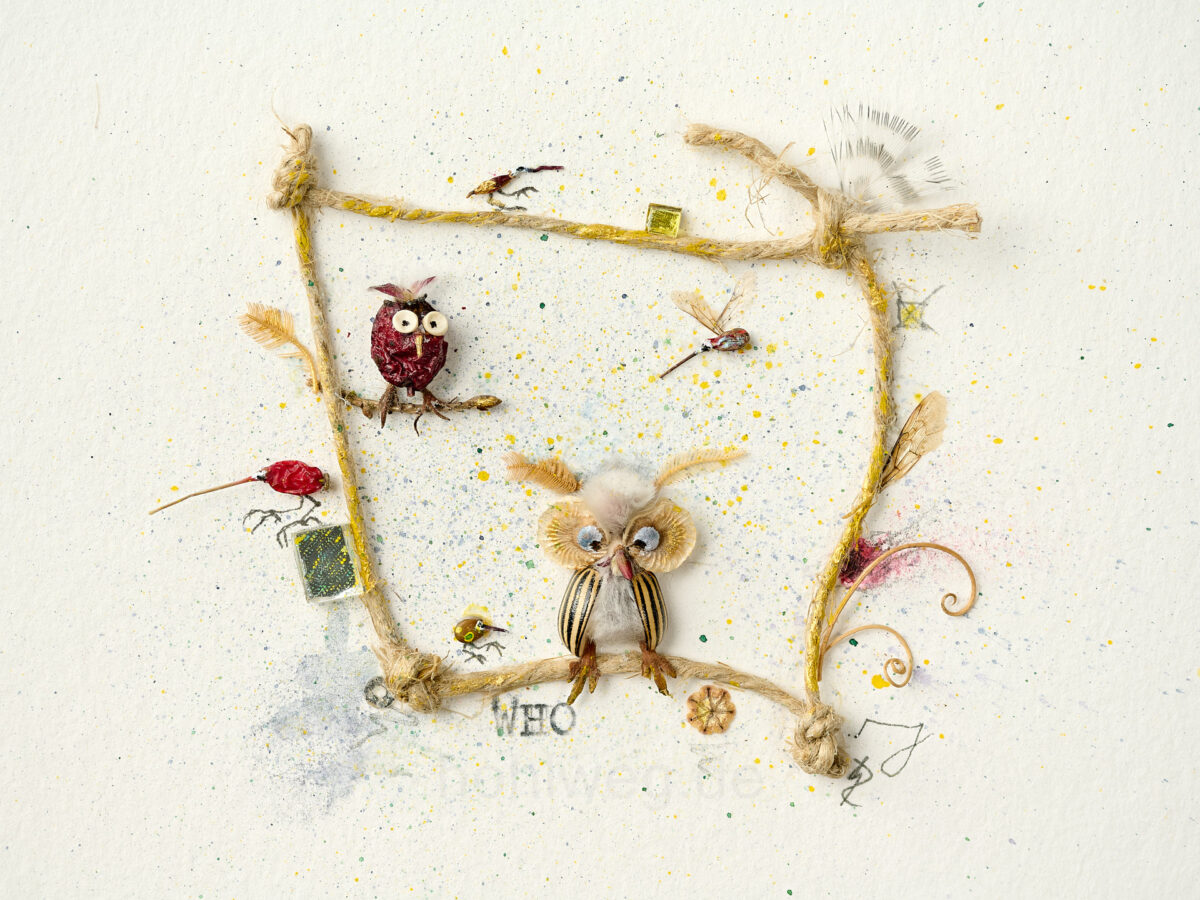 Collage by Magdalena Hohlweg with owls made from found natural objects