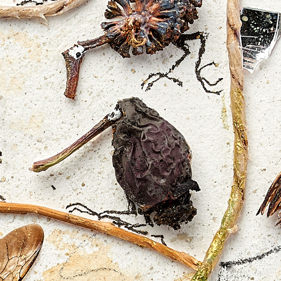 Detail view of a miniature assemblage by Magdalena Hohlweg. Bird art made from rosehip, with parcel string, original size approx. 1 x 2 cm