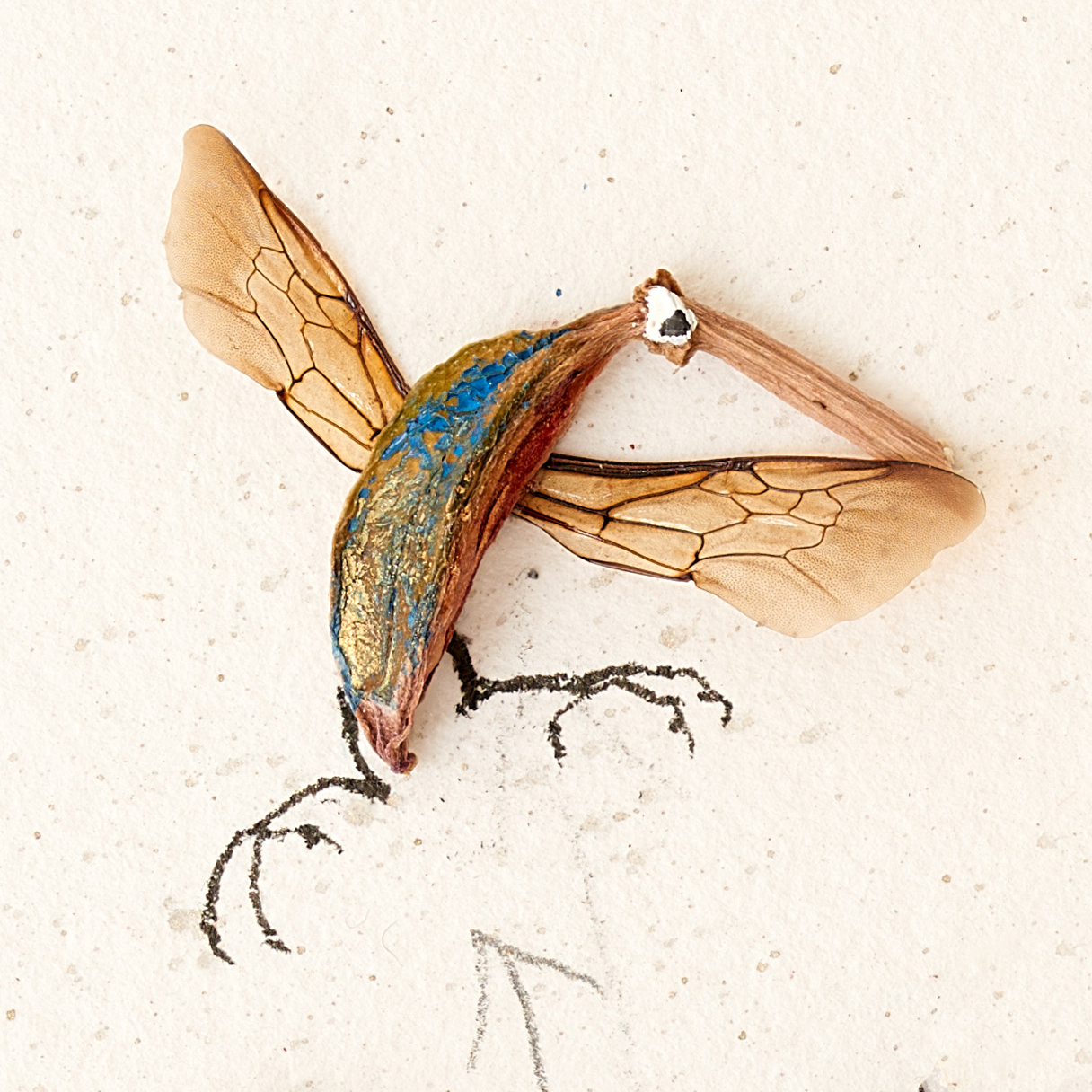 Assemblage- Samenkapsel, Insektenflügel und Strichzeichnungen ergeben eine Miniaturvogel