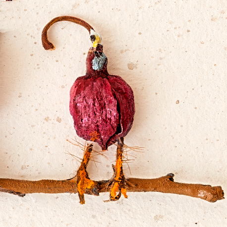 Assemblage-Vogel aus Mohnkapsel und Samenfragmenten der Kolkwitzie auf einem kleinen Zweig sitzend