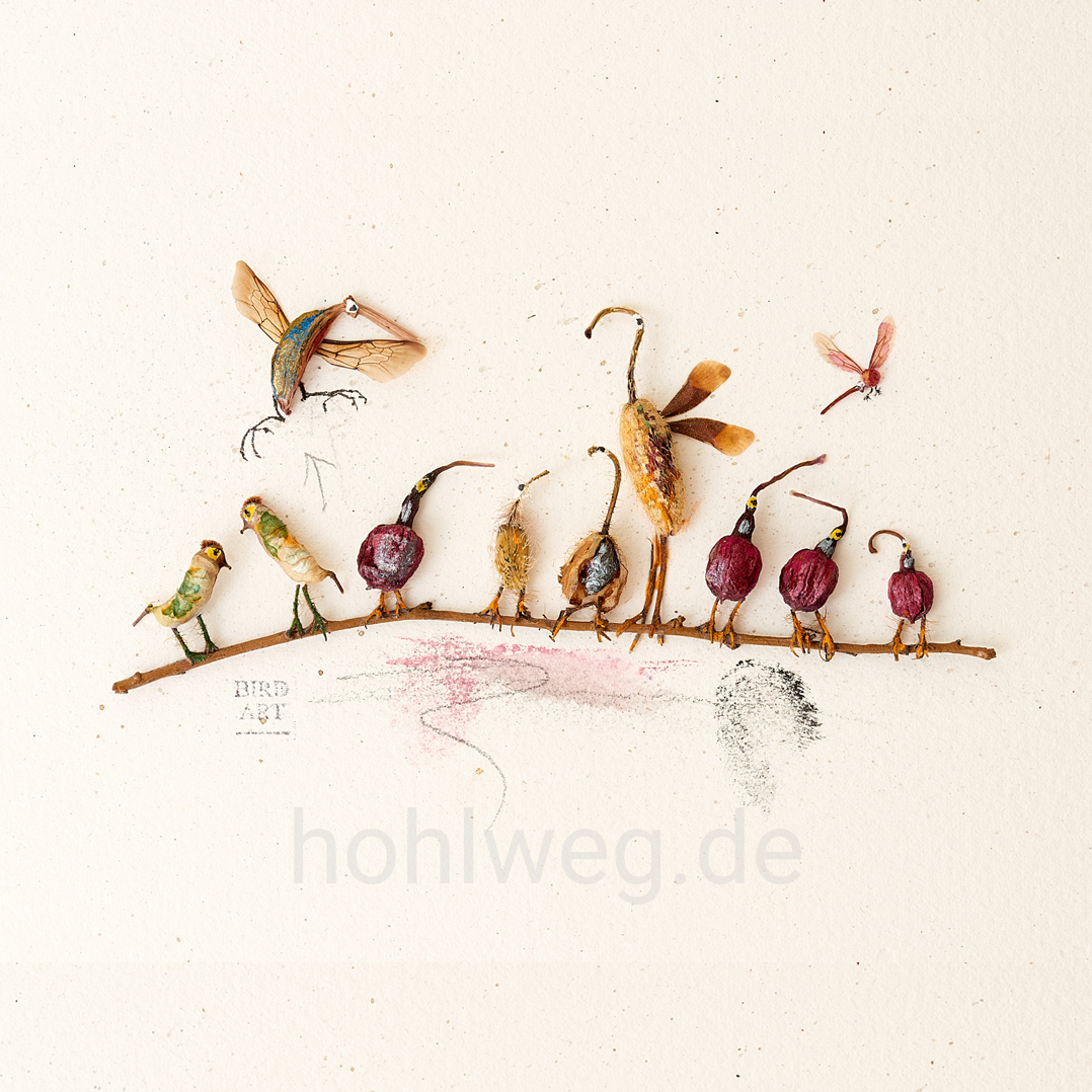 Assemblage mit Mohnknospen und Fragmenten der Kolkwitzie, zu Vögeln umgedeutet, die aufgereiht auf einerm Zweig sitzen.
