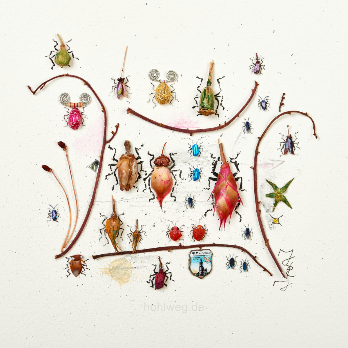 Magdalena Hohlweg: Assemblage reinterpreted as a botanical insect collection, paper and plant material, ca. 12x13 cm