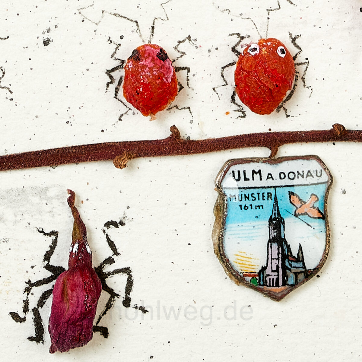 Detail from an assemblage - spoon coat of arms "Ulm" and plant remains as insects